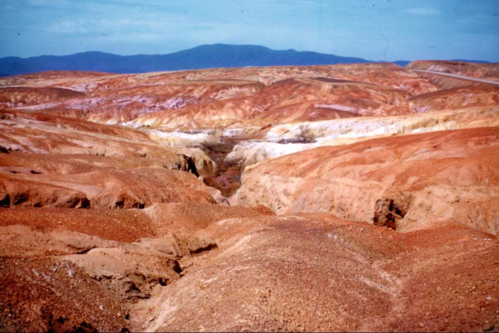 a195f1fb490105d88335786552f7d7ae47524