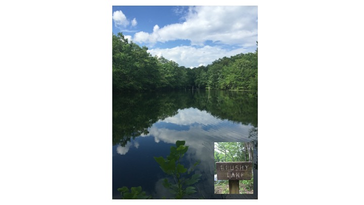 Brushy Lake