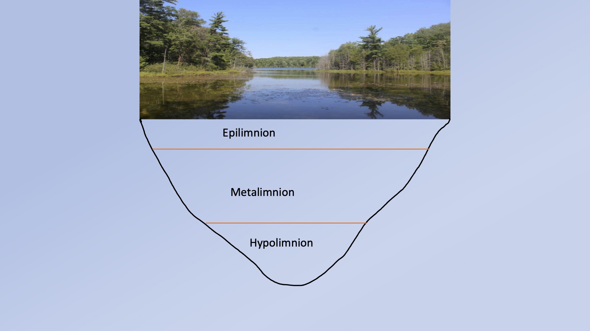 Lake Cheston Graphs (dragged)