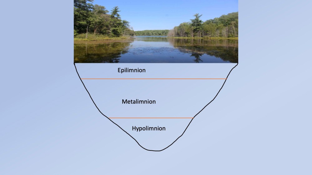 Lake Cheston Graphs (dragged)